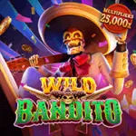 slot wild